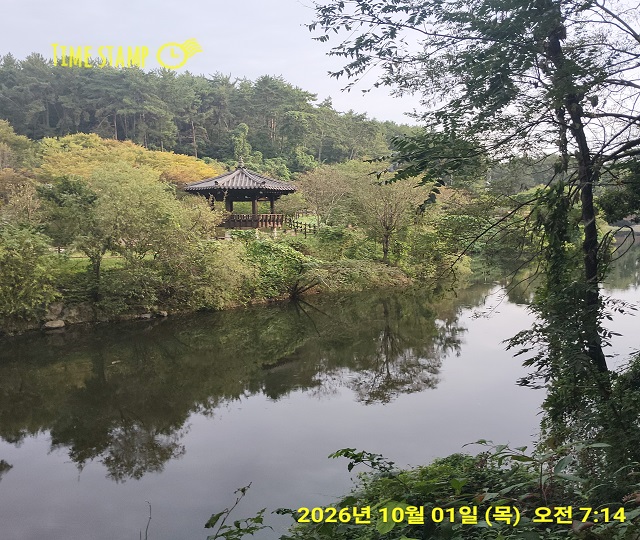 사라공원 전경0 101